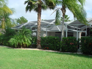 Hedge screen around pool